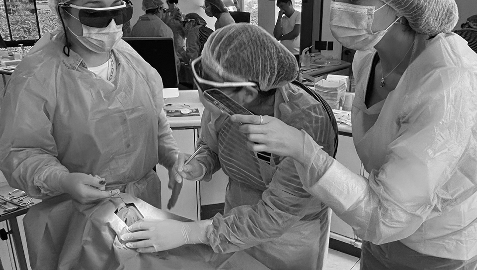 <p>Láser oral Surgery intensive</p>
